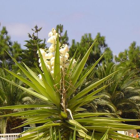 Ikaria Village Maisonette 10 Klorakas Dış mekan fotoğraf