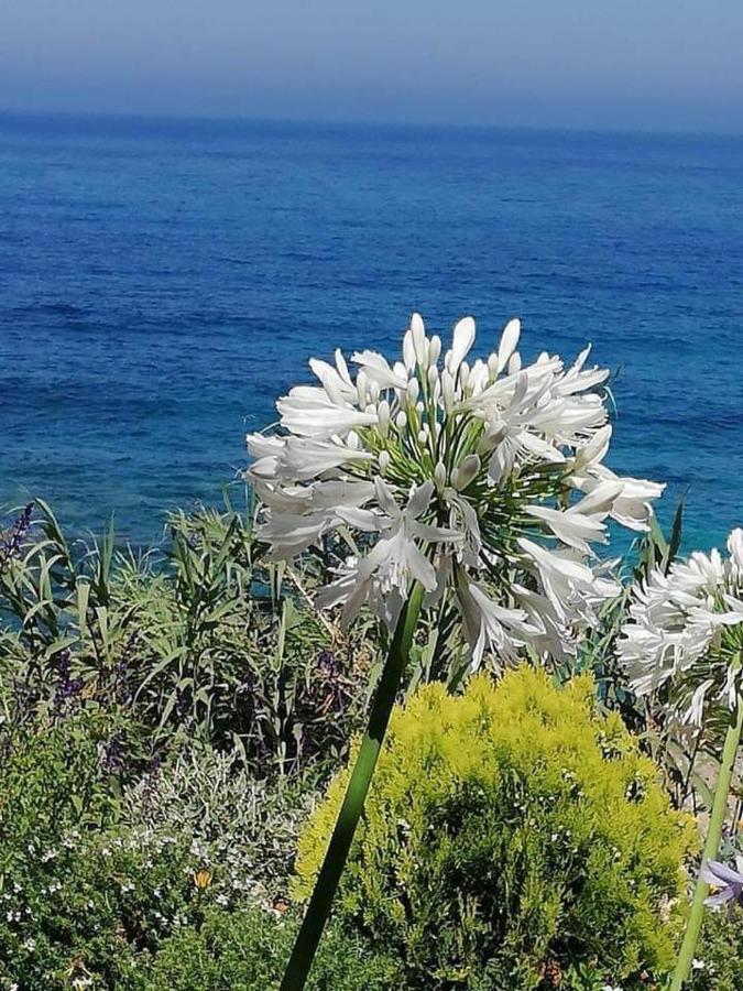 Ikaria Village Maisonette 10 Klorakas Dış mekan fotoğraf
