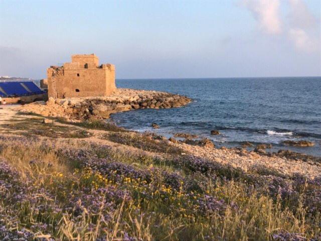 Ikaria Village Maisonette 10 Klorakas Dış mekan fotoğraf